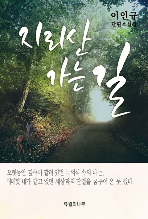 지리산 가는 길 표지 이미지