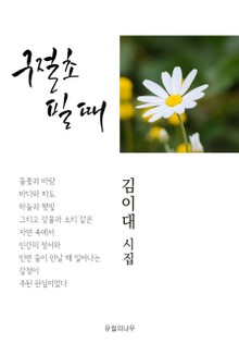 구절초 필 때
