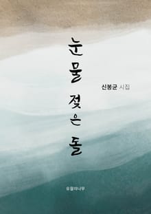 눈물 젖은 돌