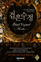 검은 수정 : 넘버 표지 이미지