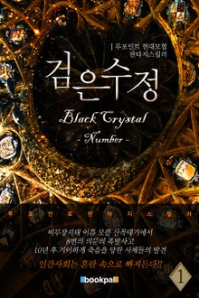 검은 수정 : 넘버