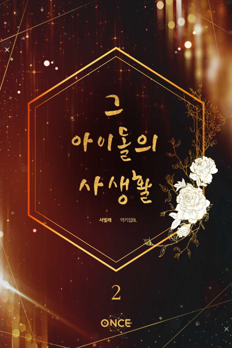 그 아이돌의 사생활 2권 (완결)