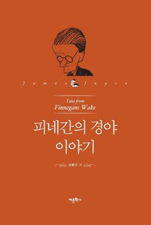 피네간의 경야 이야기