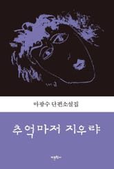 추억마저 지우랴 표지 이미지