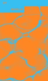 해파리의 노래 표지 이미지