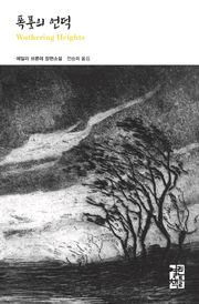 폭풍의 언덕