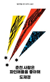 춘천 사람은 파인애플을 좋아해 표지 이미지