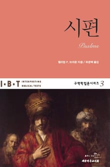 IBT 시편