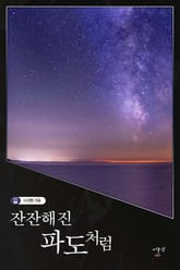 잔잔해진 파도처럼 표지 이미지