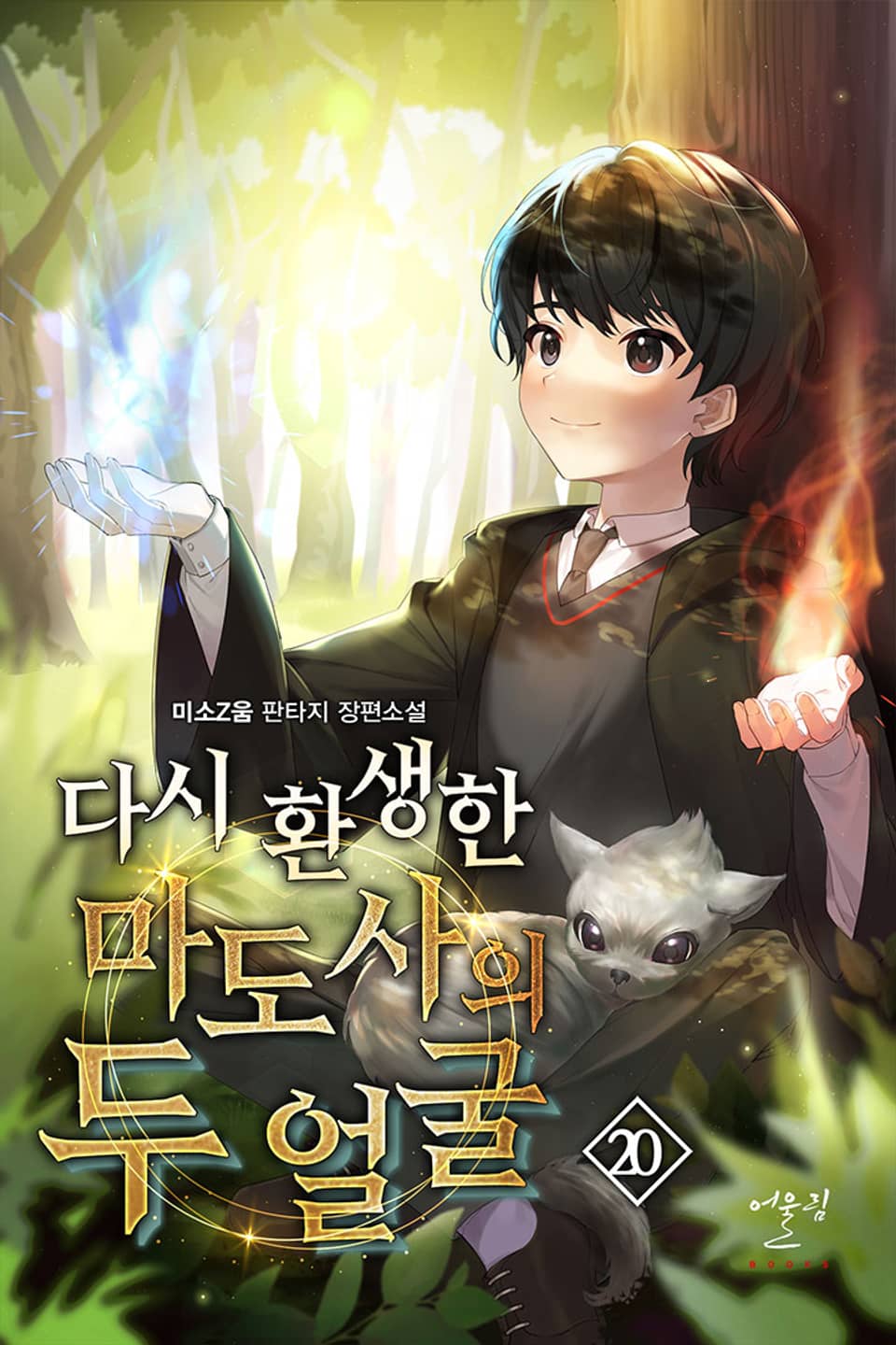 다시 환생한 마도사의 두 얼굴 20권