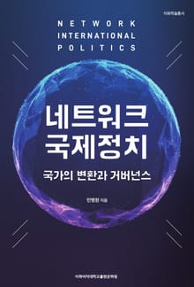 네트워크 국제정치