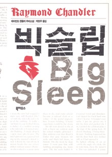 빅 슬립