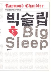 빅 슬립