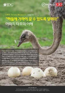 "하둡에 가까이 갈 수 있도록 달려라" 아파치 타조의 이해