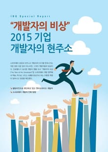 “개발자의 비상”2015 기업 개발자의 현주소