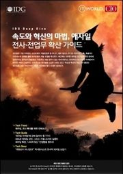 속도와 혁신의 마법 애자일, 전사·전업무 확산 가이드