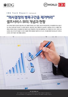 "의사결정의 병목구간을 제거하라" 셀프서비스 BI의 개념과 현황