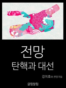 전망: 탄핵과 대선