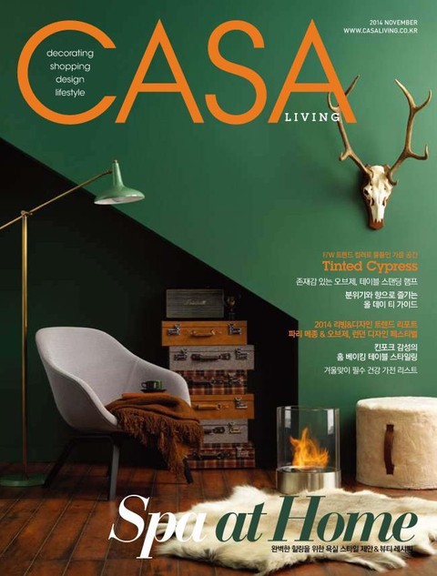 CASA LIVING 2014년 11월호(월간) 표지 이미지