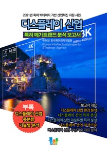 디스플레이 산업 특허 메가트렌드 분석 보고서 2021