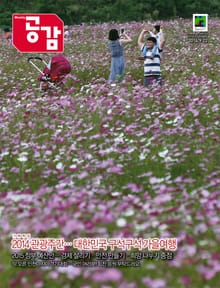 위클리 공감 273호