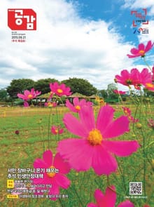 위클리 공감 323호