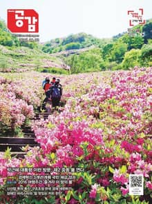 위클리 공감 353호