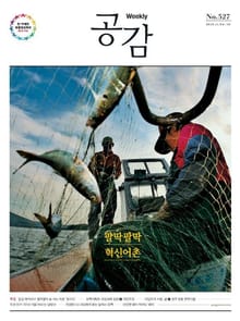 위클리 공감 527호