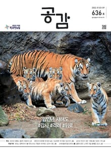 위클리 공감 636호