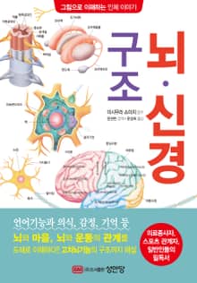 뇌•신경 구조