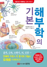 해부학의 기본