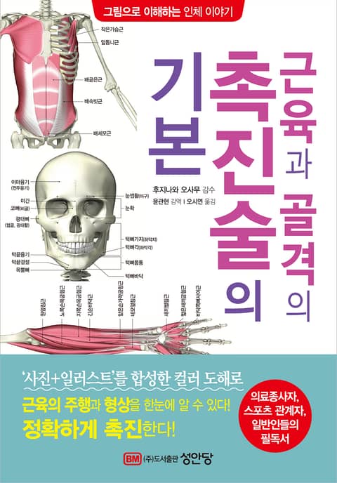 근육과 골격의 촉진술의 기본 표지 이미지