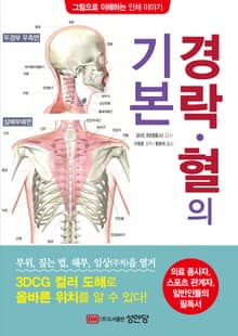 경락•혈의 기본