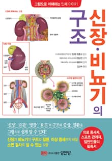 신장⦁비뇨기의 구조