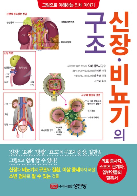 신장⦁비뇨기의 구조 표지 이미지