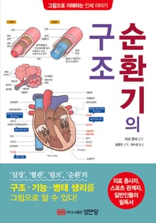 순환기의 구조
