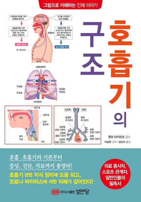 호흡기의 구조 표지 이미지