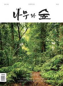 <나무와 숲> 3호