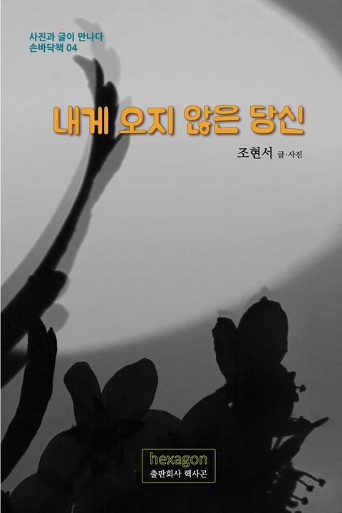 내게 오지 않은 당신 표지 이미지