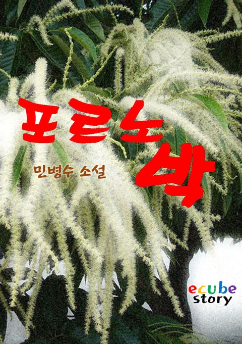 포르노 박