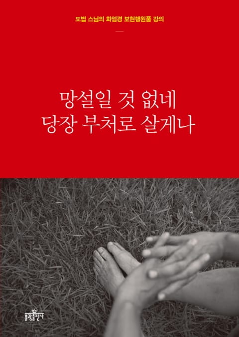 망설일 것 없네 당장 부처로 살게나 표지 이미지