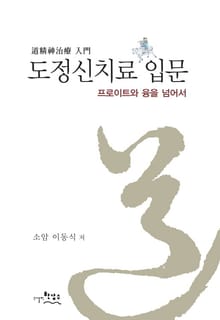 도정신치료 입문