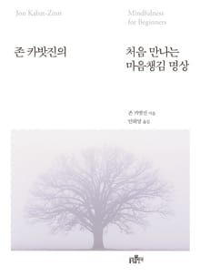 존 카밧진의 처음 만나는 마음챙김 명상