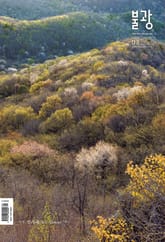 월간 불광 545호 표지 이미지