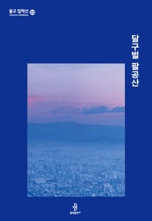 달구벌 팔공산