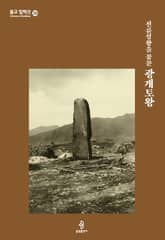 전륜성왕을 꿈꾼 광개토왕 표지 이미지