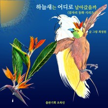 하늘새는 어디로 날아갔을까
