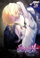 늪 속의 불 [개정판] 표지 이미지