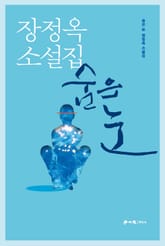 숨은 눈 표지 이미지