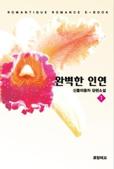 완벽한 인연 표지 이미지